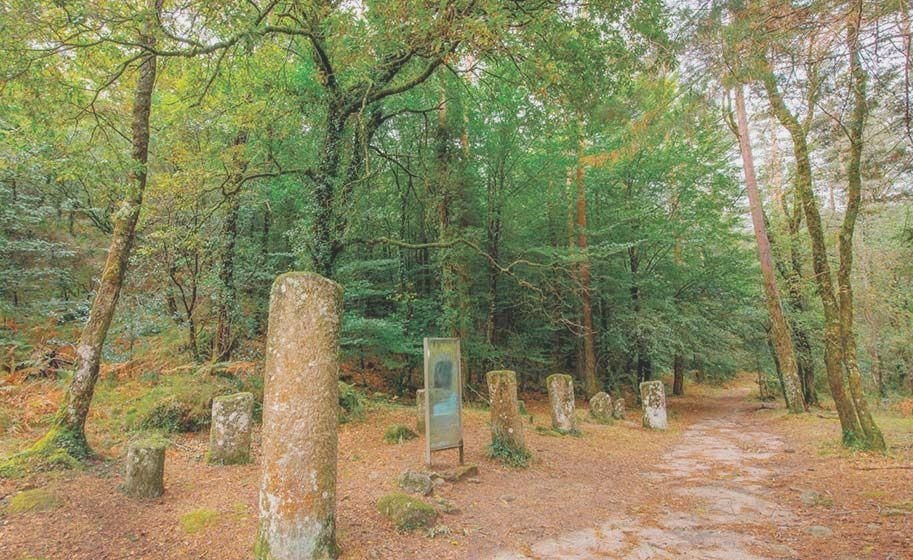 Patrimonio Legendario y Milenario- Reserva de la Biosfera Transfronteriza Gerès-Xurés
